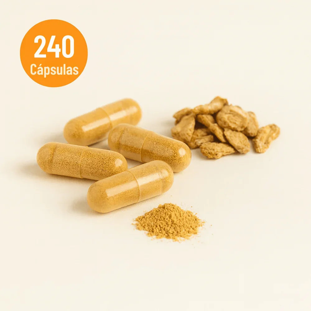 Ginseng Panax 120 cápsulas