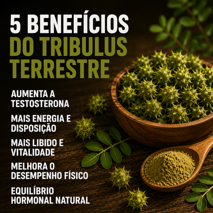 Tribulus Terrestris  120 Cápsulas