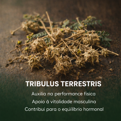 4 em 1 - Ashwagandha + Maca Negra + Moringa + Tribulus