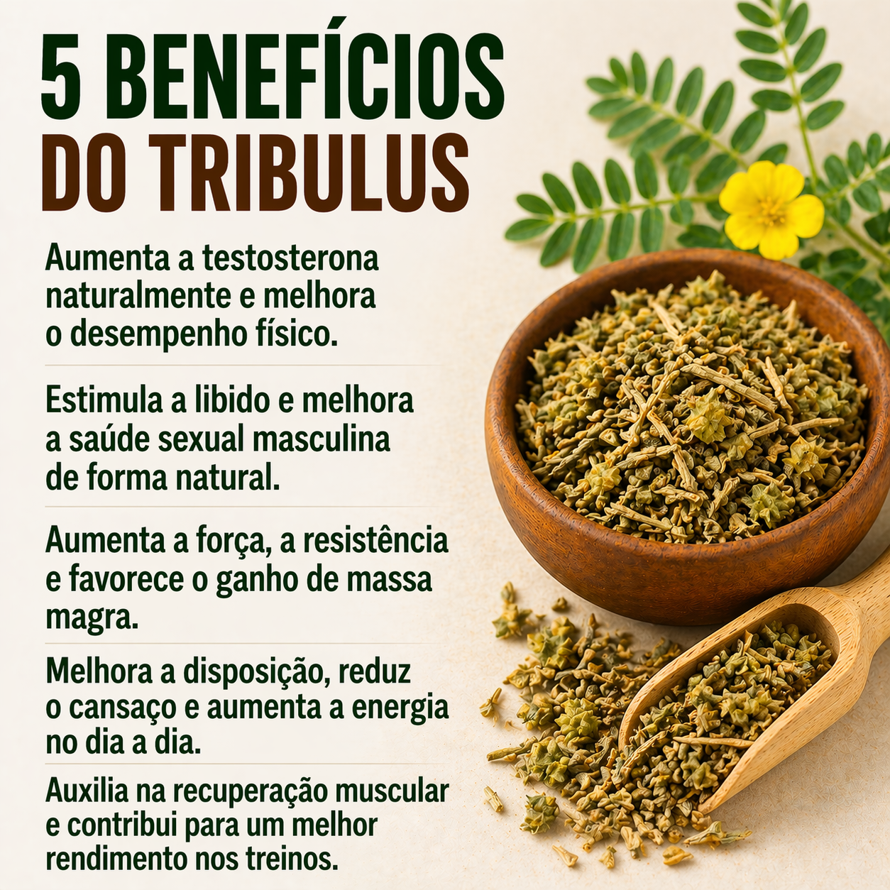 LIBID MAXX AlphaCaps 120 Cápsulas