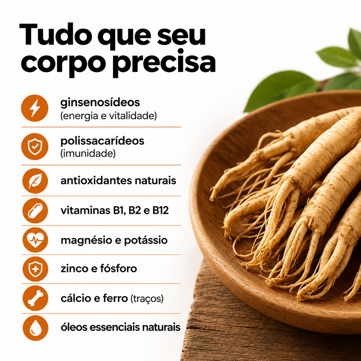 Ginseng Panax 120 cápsulas