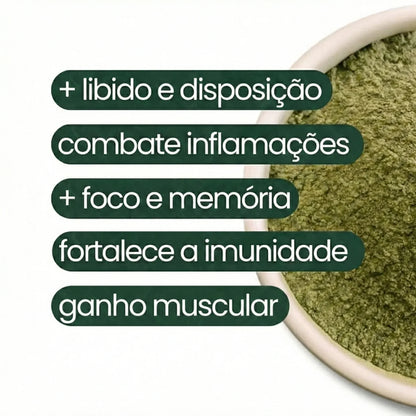 Moringa 120 Cápsulas