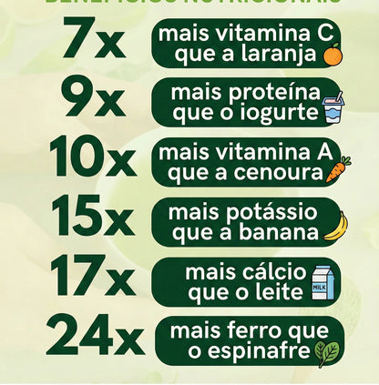 Moringa 120 Cápsulas
