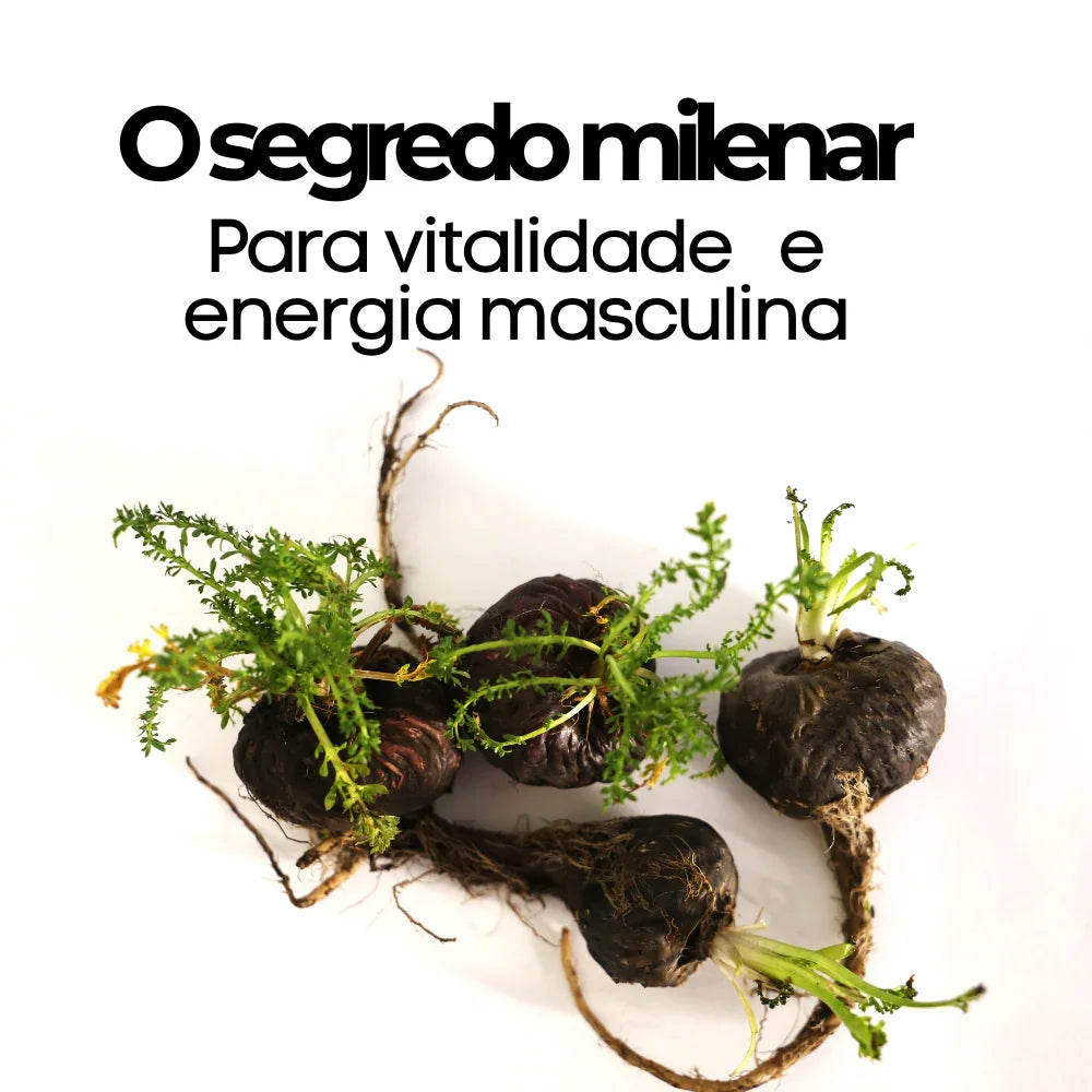 Maca Peruana  120 cápsulas